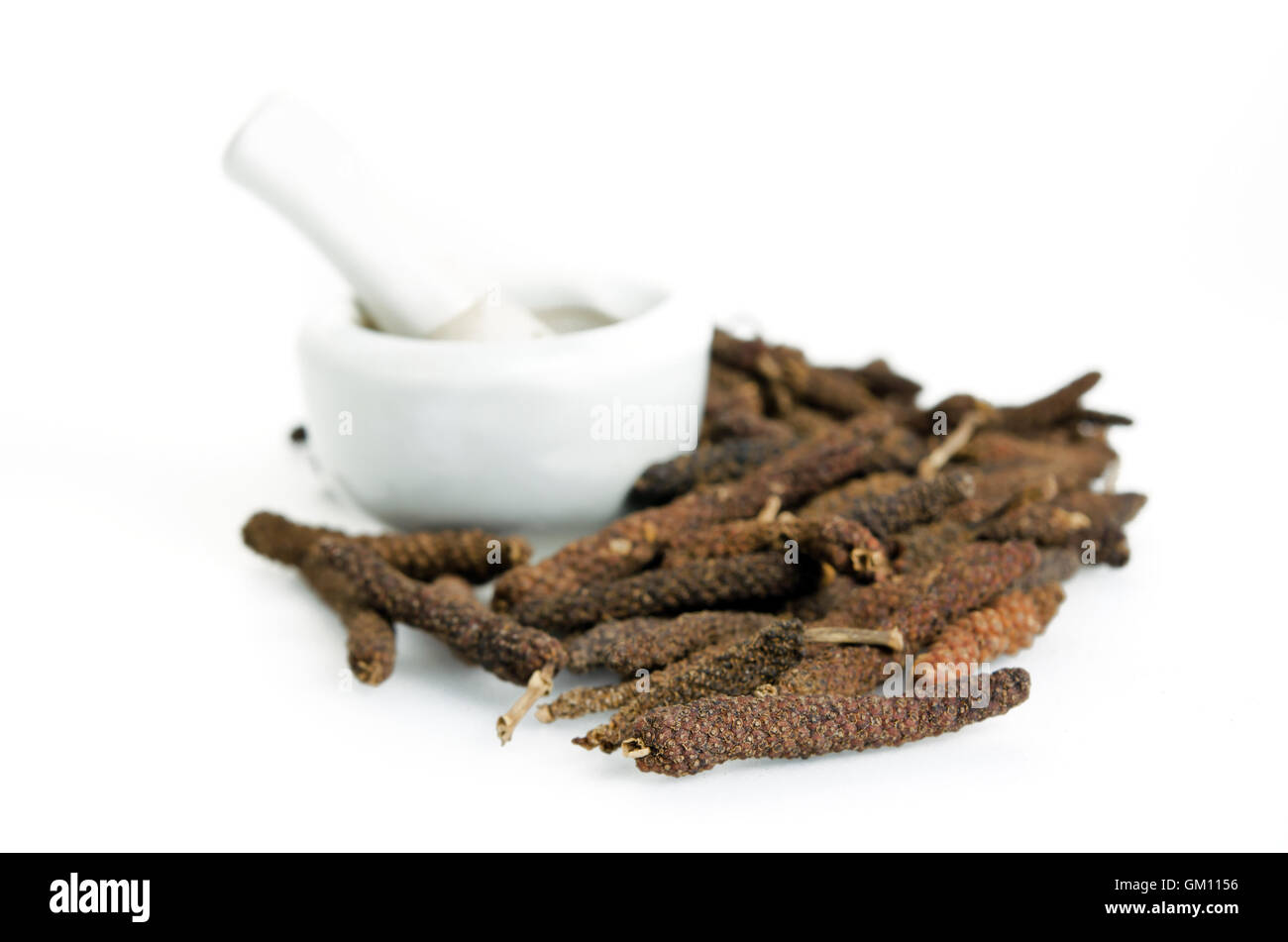 Long black pepper (Also called as Pipli in Indian, capsicum frutescens