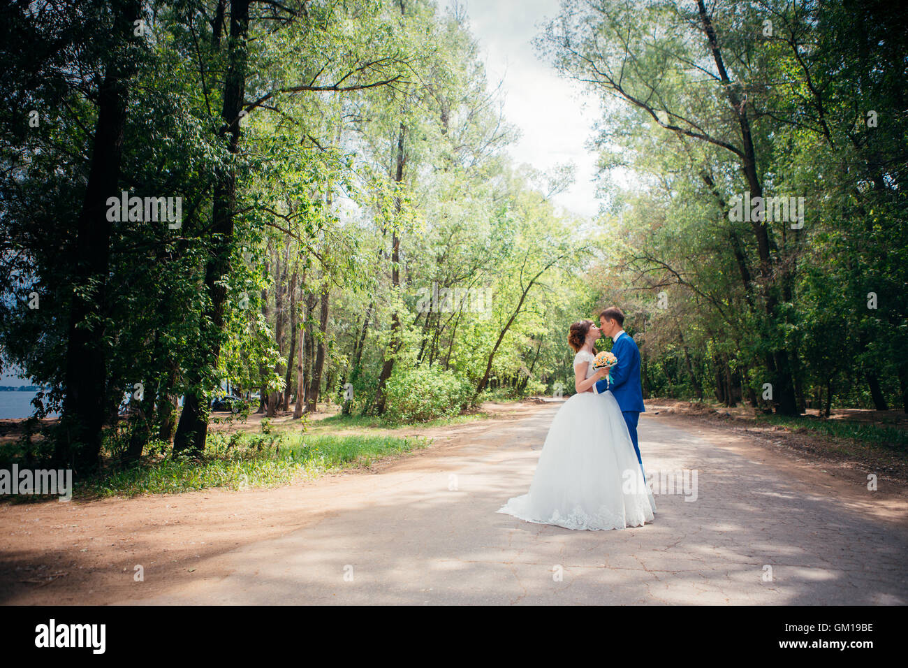 young bride and groom kissing on the background of the forest and the ...