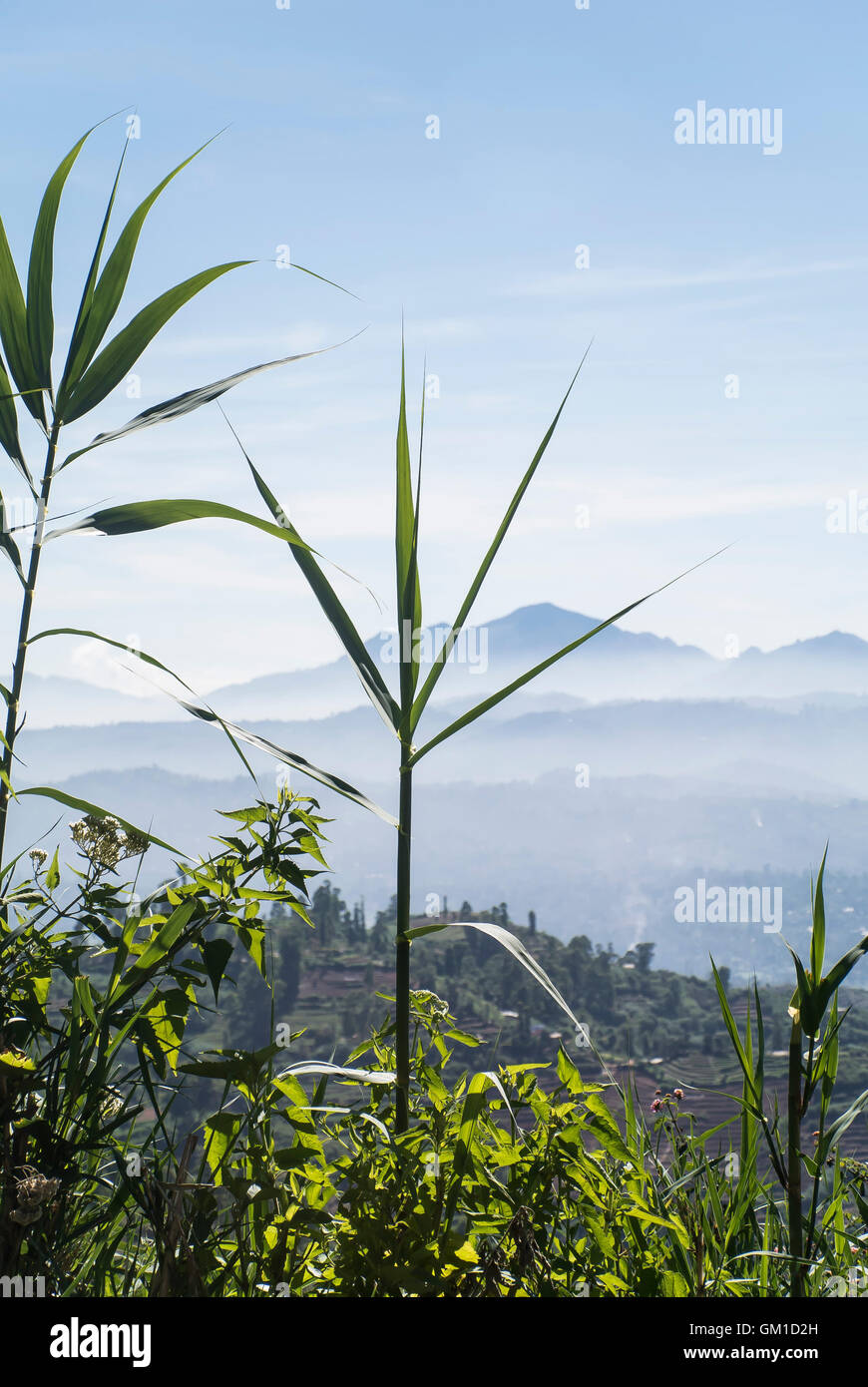 Landscape View Sri Lankan Hill Country Stock Photo Alamy