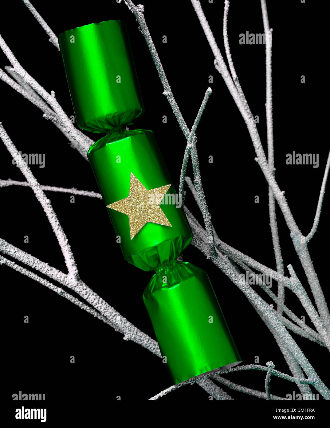 Christmas Cracker in a Christmas tree Stock Photo