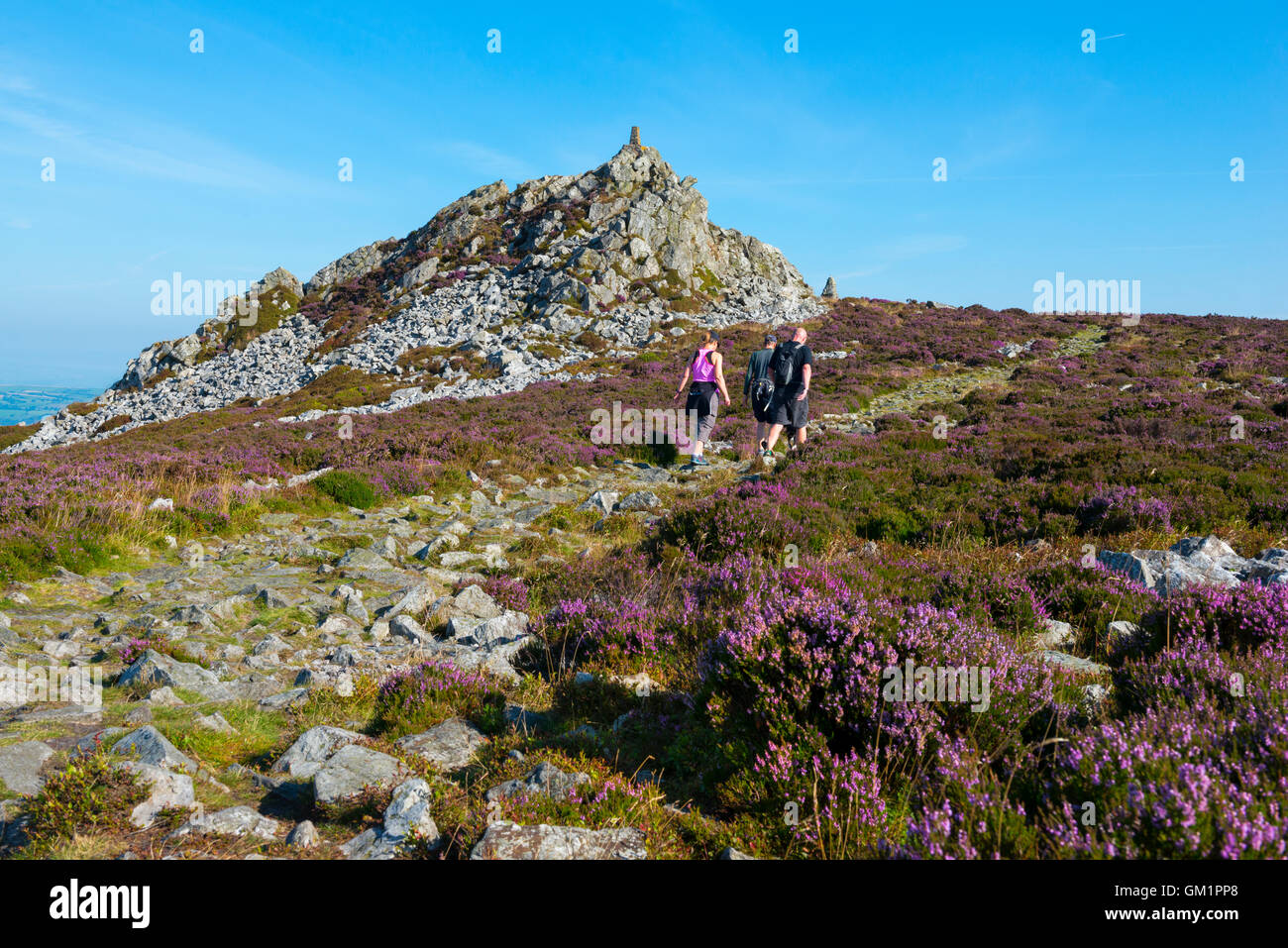 Walkers on the Stiperstones, looking to Manstone Rock, Shropshire, England, UK. Stock Photo