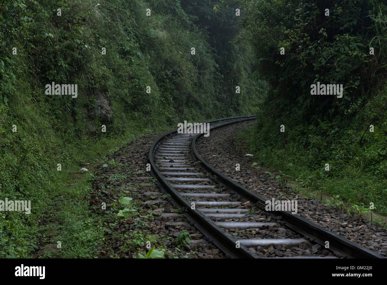 Railway line of Kalka Shimla world heritage site Stock Photo