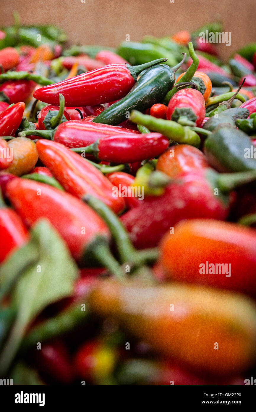 Pile of fresh hot peppers on display at the farmers market during autumn harvest season Stock Photo