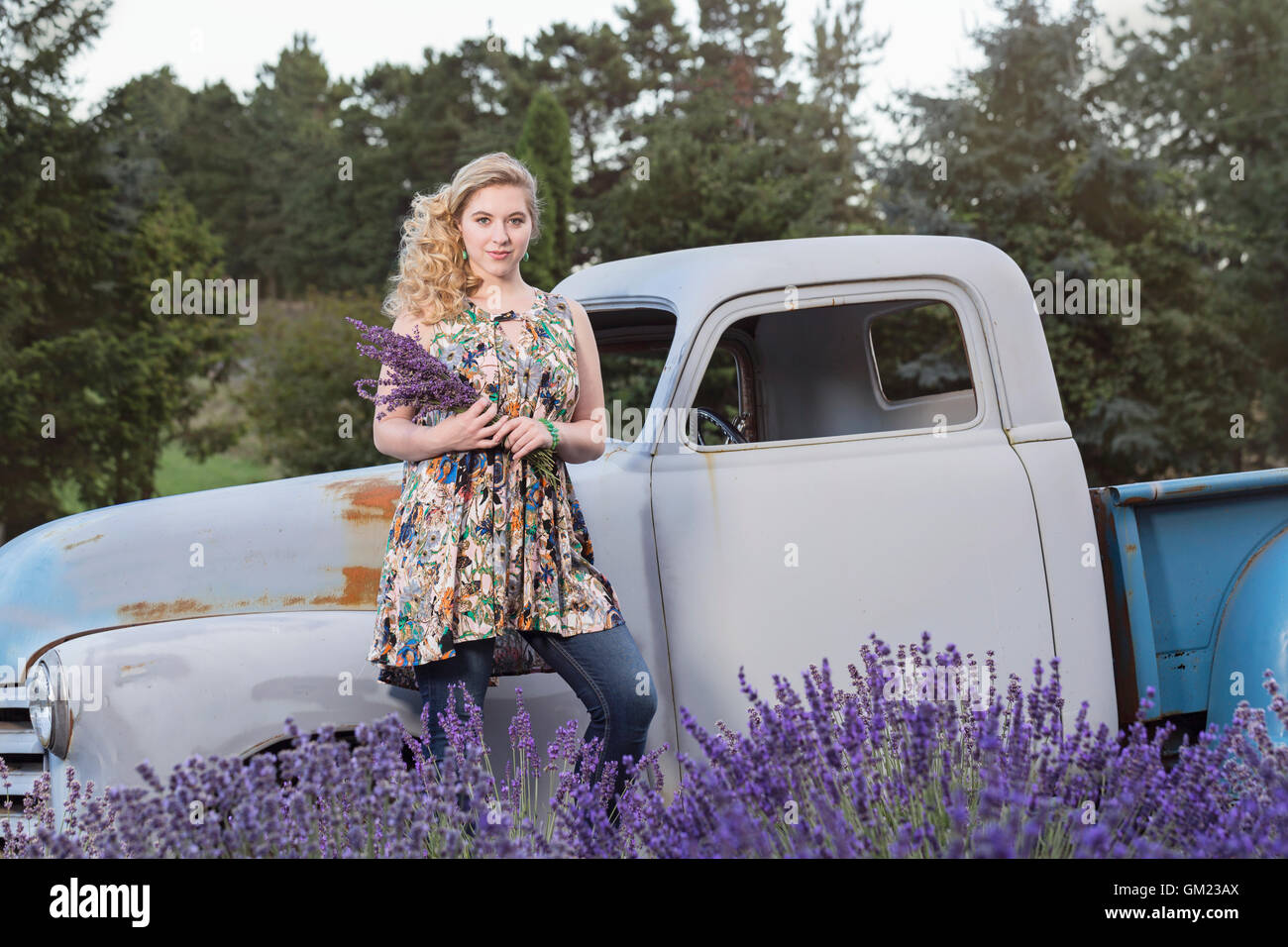 Stylish young woman posing in front of vintage farm truck at a lavender farm Stock Photo