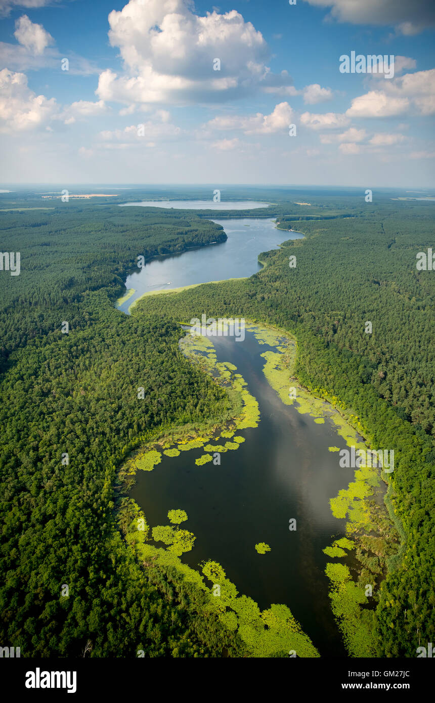 Aerial view, Moessel, Leppinsee, sea links, wooded area, nature reserve, Rechlin, Mecklenburg Seascape, Mecklenburg Switzerland, Stock Photo