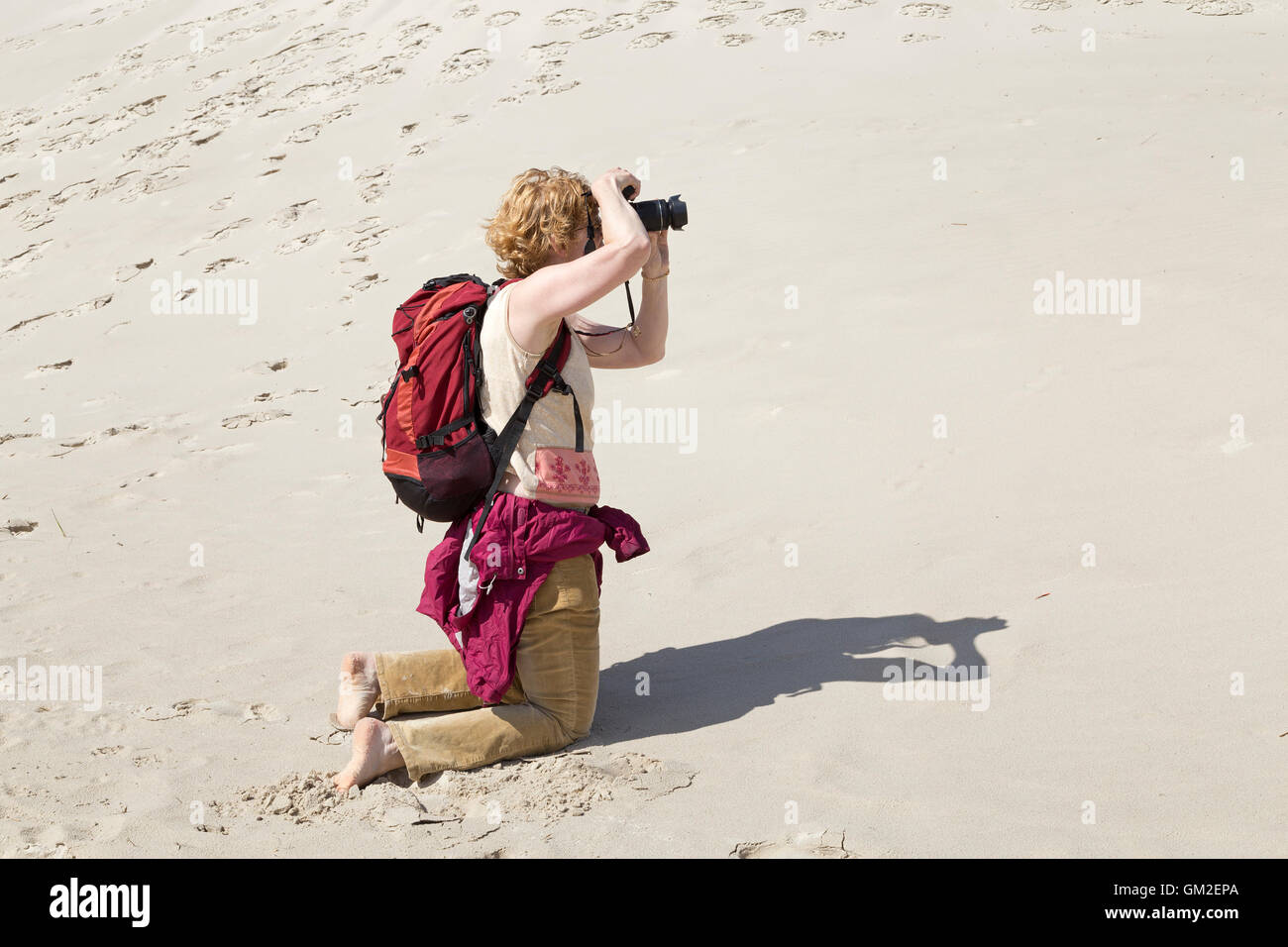 woman taking photos in the dunes, Amrum Island, North Friesland, Schleswig-Holstein, Germany Stock Photo
