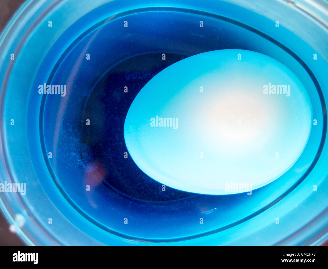 Boiled egg in blue dye Stock Photo Alamy