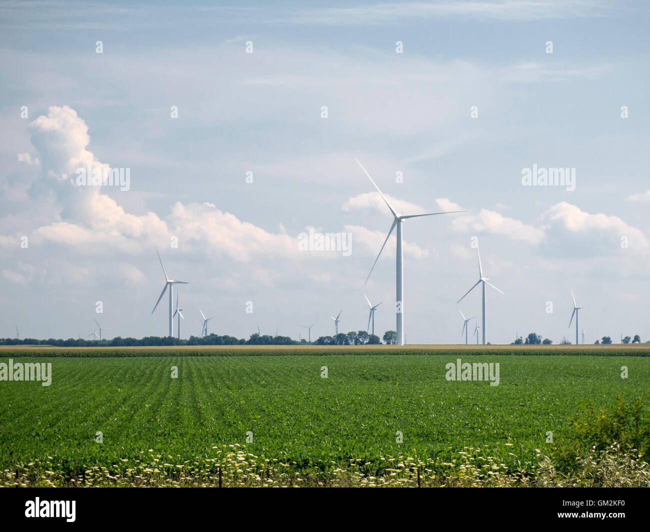 Wind farms power generation in Indiana Stock Photo