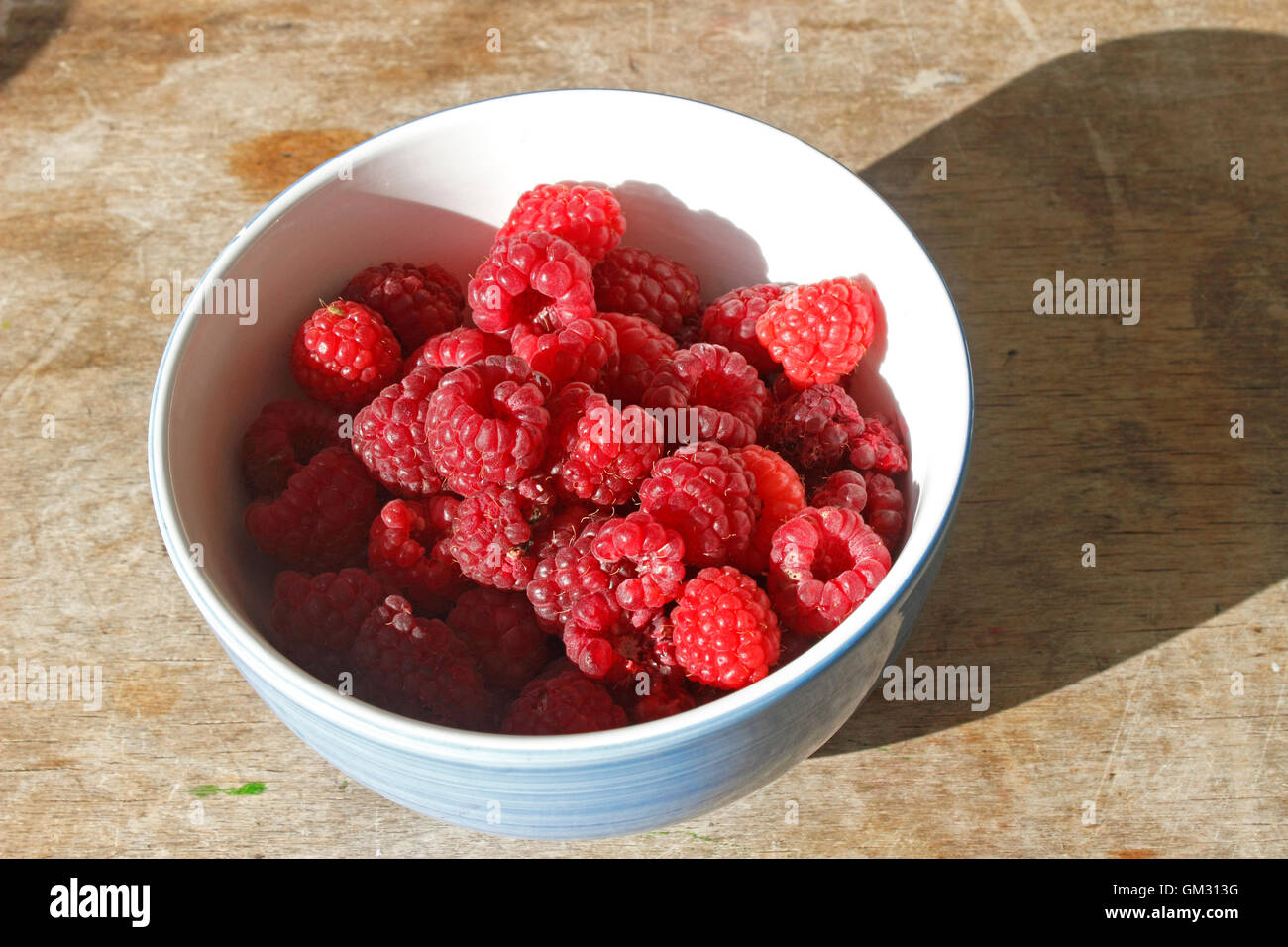 Bowl of Autumn Bliss raspberries Stock Photo