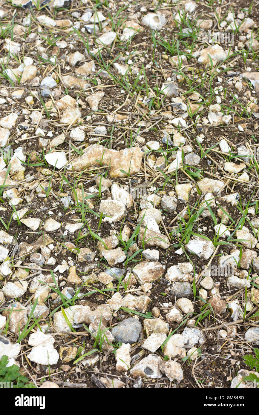 Chalk soil hires stock photography and images Alamy