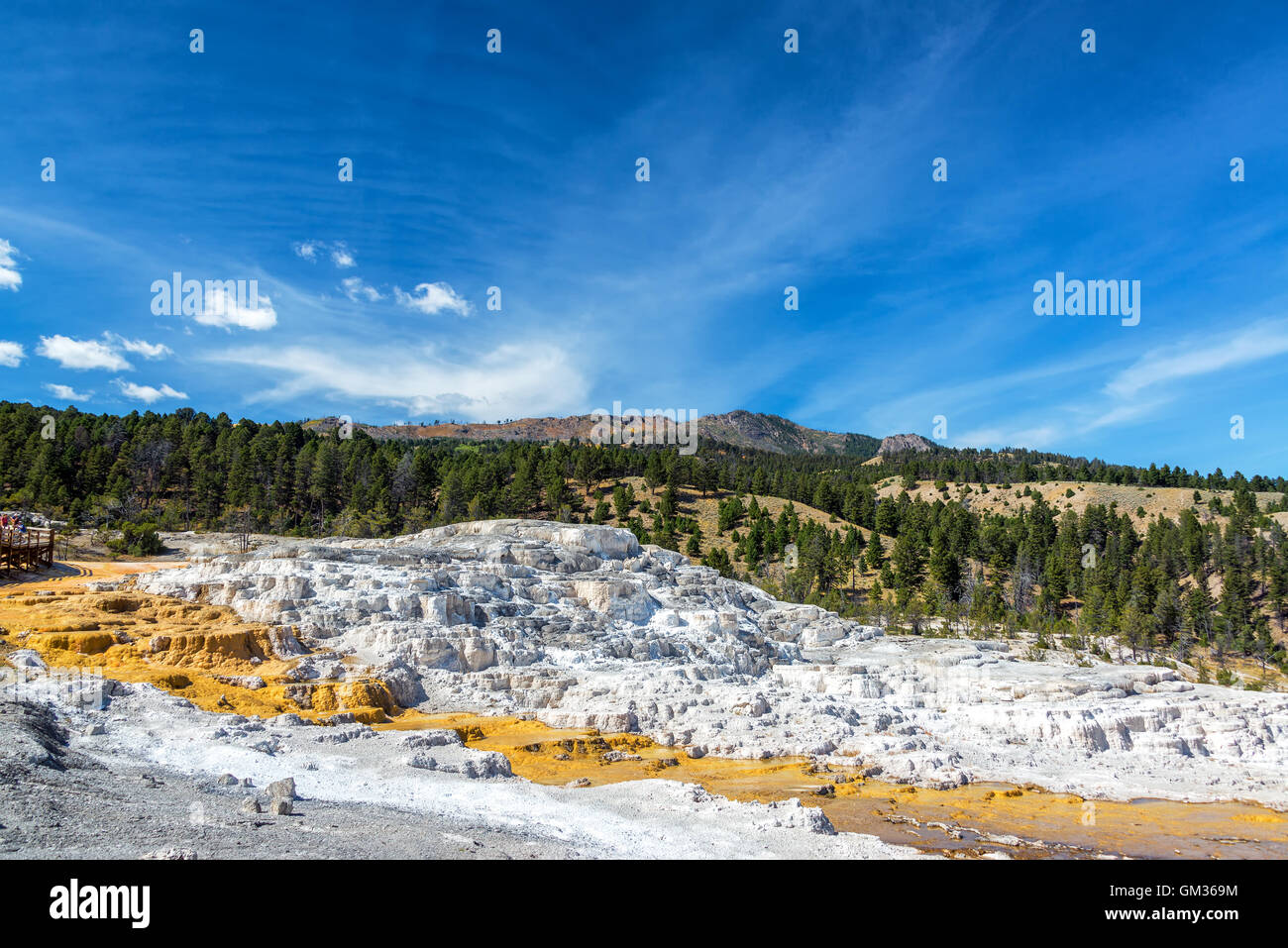 Travertine terrace landscape in Yellowstone National Park near Mammoth Hot Springs Stock Photo