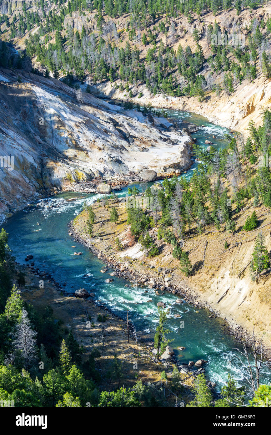 Vertical view of the Yellowstone River in Yellowstone National Park Stock Photo