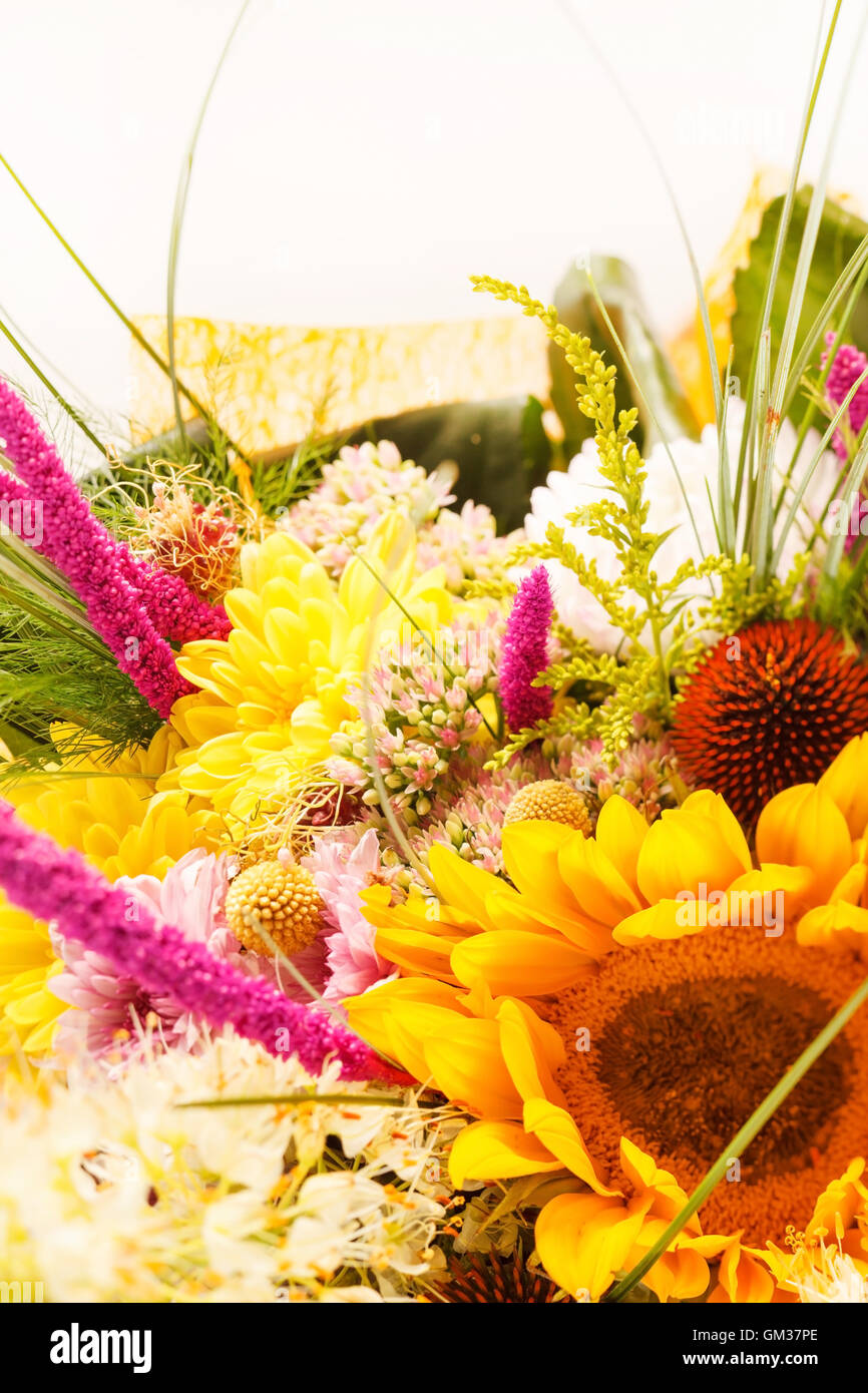bouquet of colorful flowers Stock Photo - Alamy
