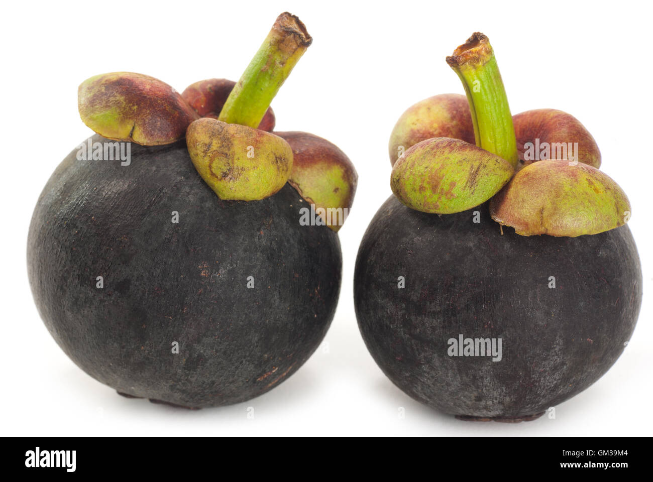 Green mangosteen hires stock photography and images Alamy