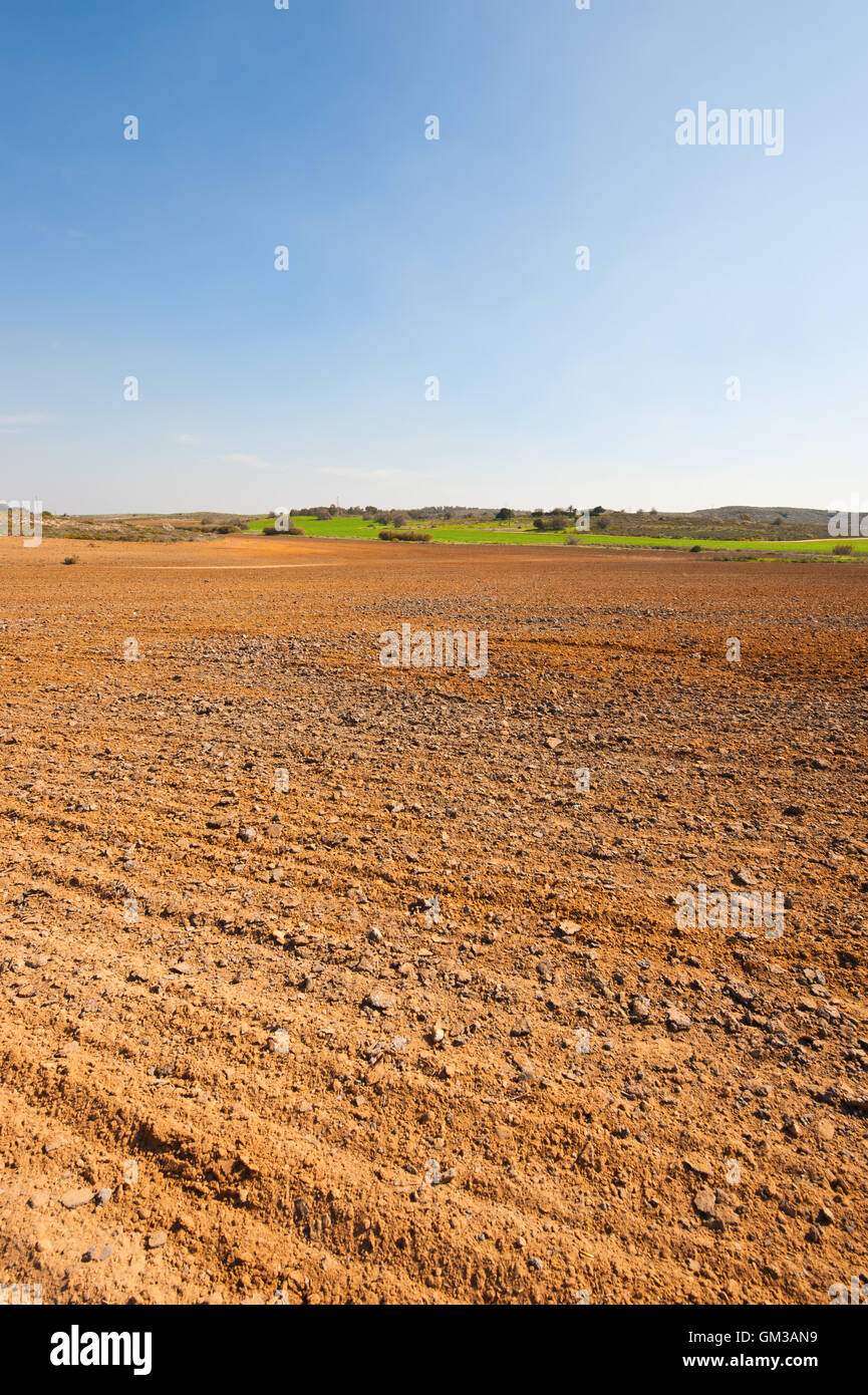 Field in Israel Stock Photo - Alamy