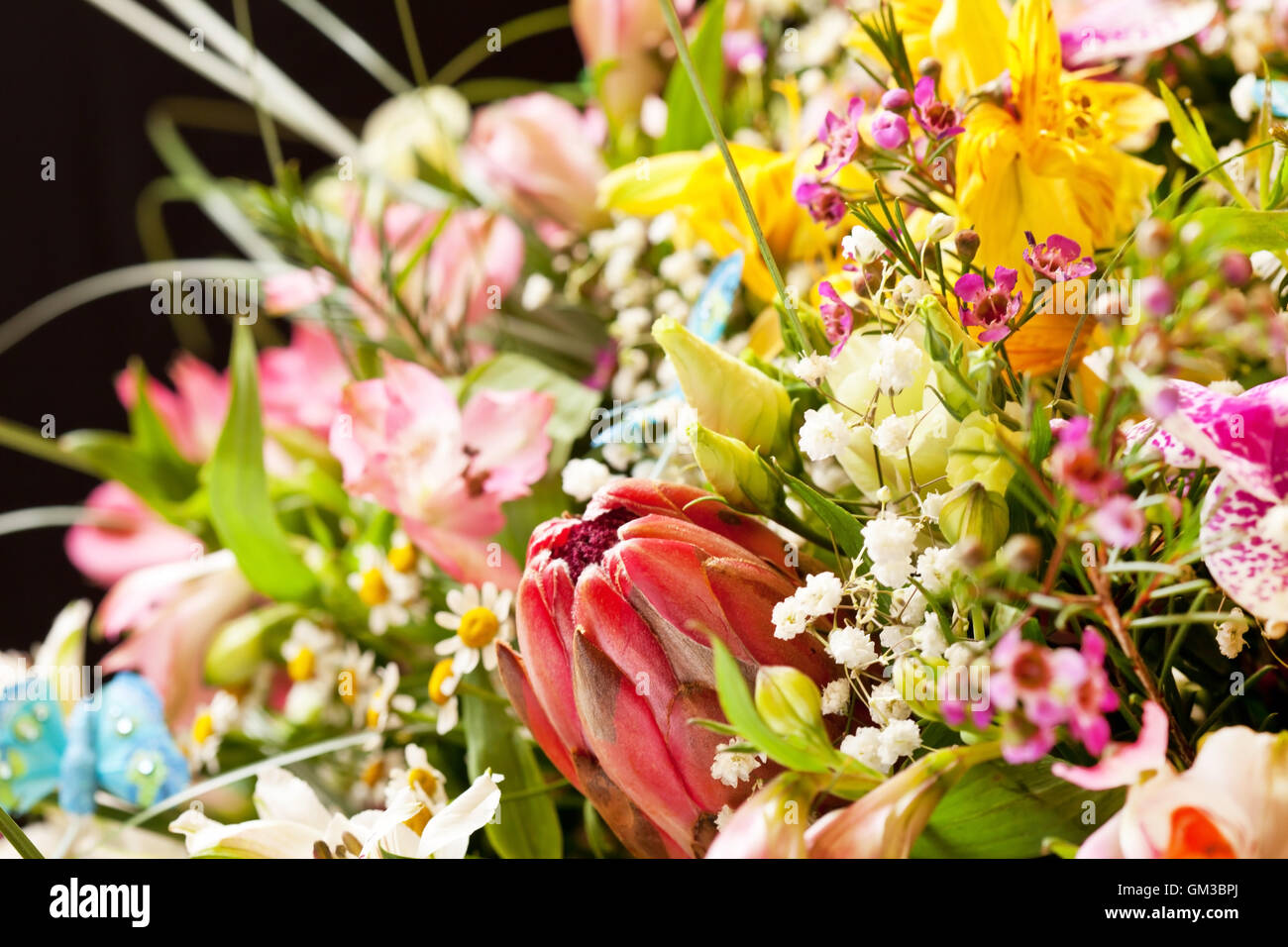bouquet of colorful flowers Stock Photo - Alamy