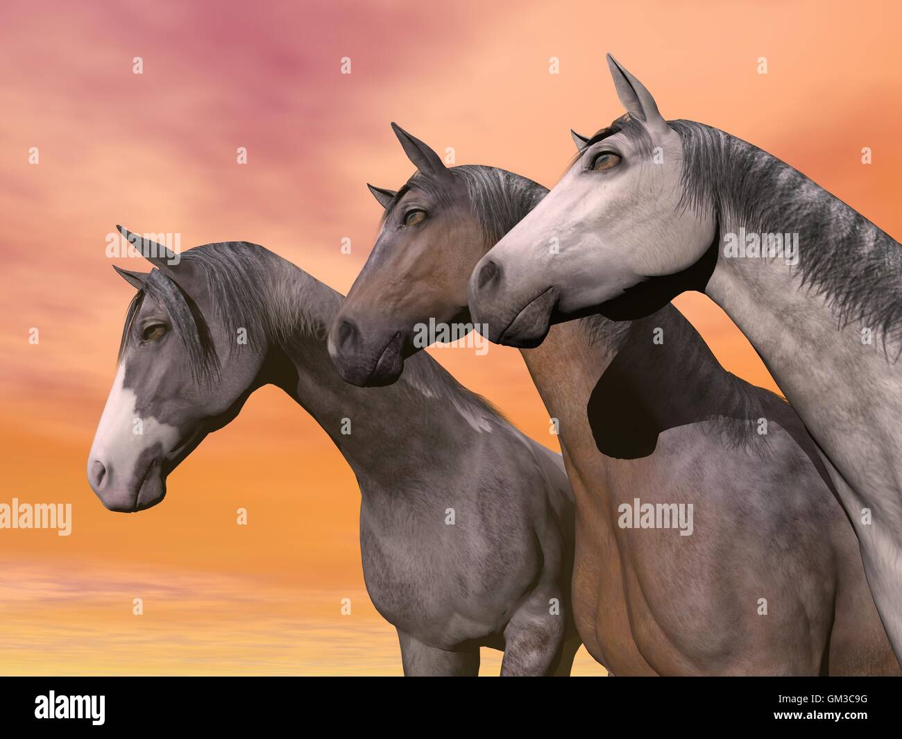 Portrait of three horses - 3D render Stock Photo