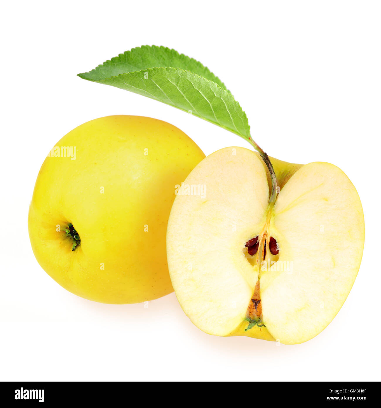 Half part Cut Out Stock Images Pictures Alamy