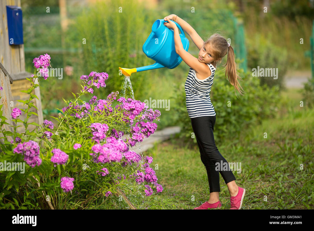 Little girl watering the flowers near the country house Stock Photo Alamy