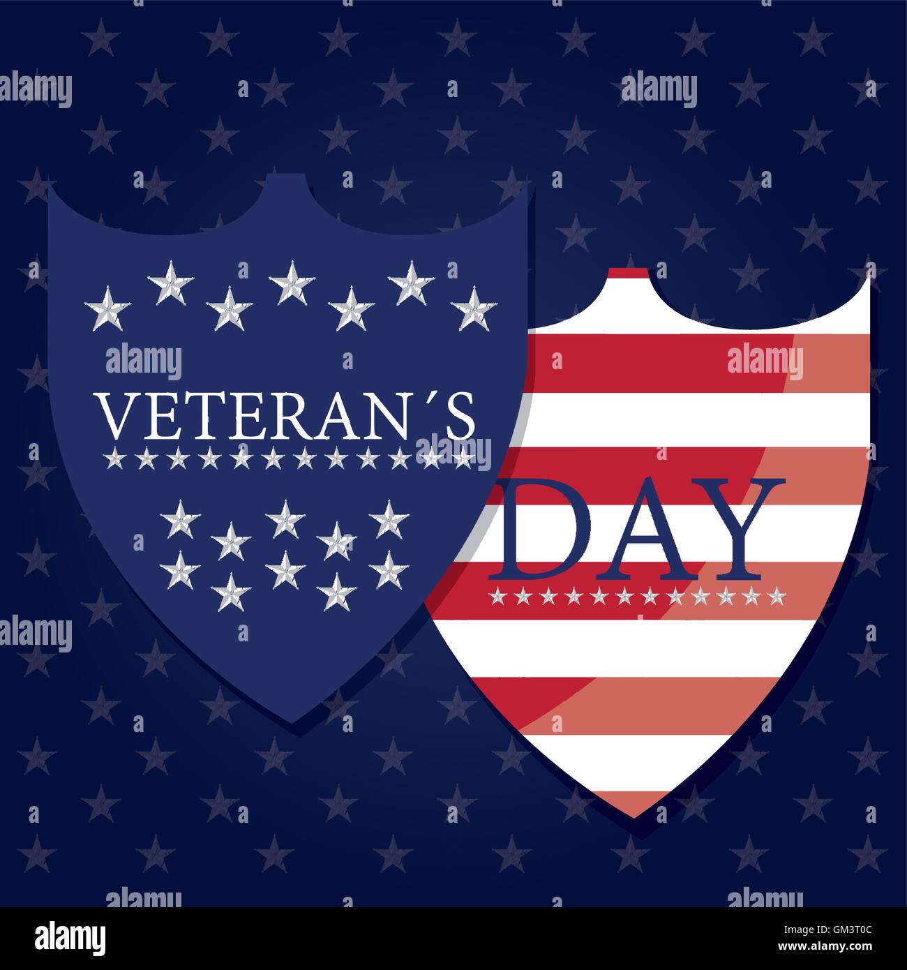 Veteran's day graphic design, Vector illustration Stock Vector Image