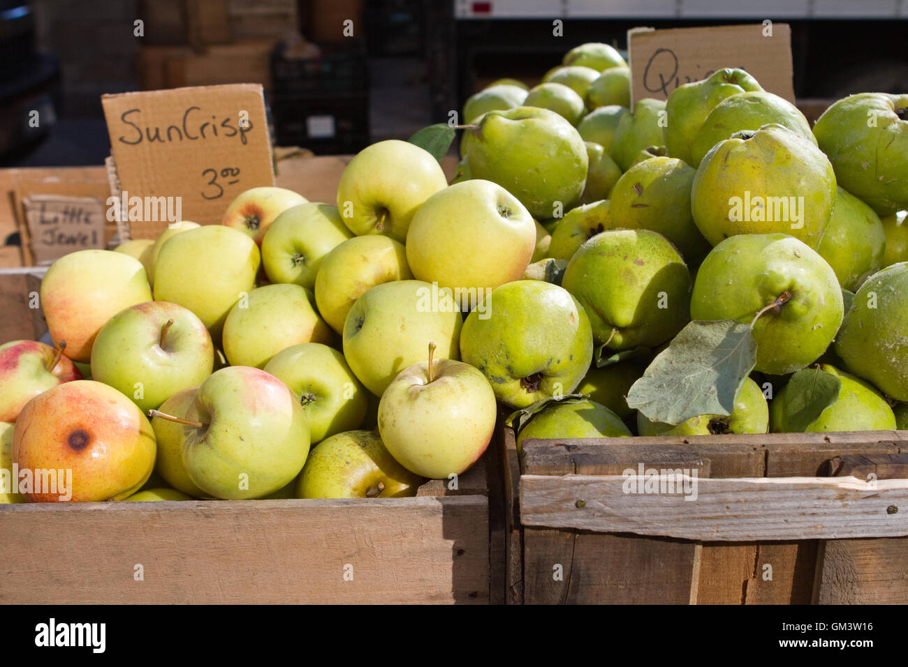Piles of freshly picked apples and quince in wooden crates at farmers
