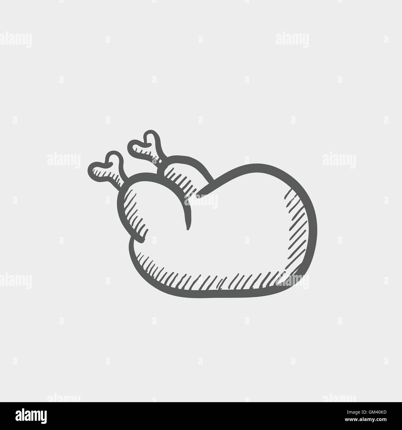 Raw chicken sketch icon Stock Vector