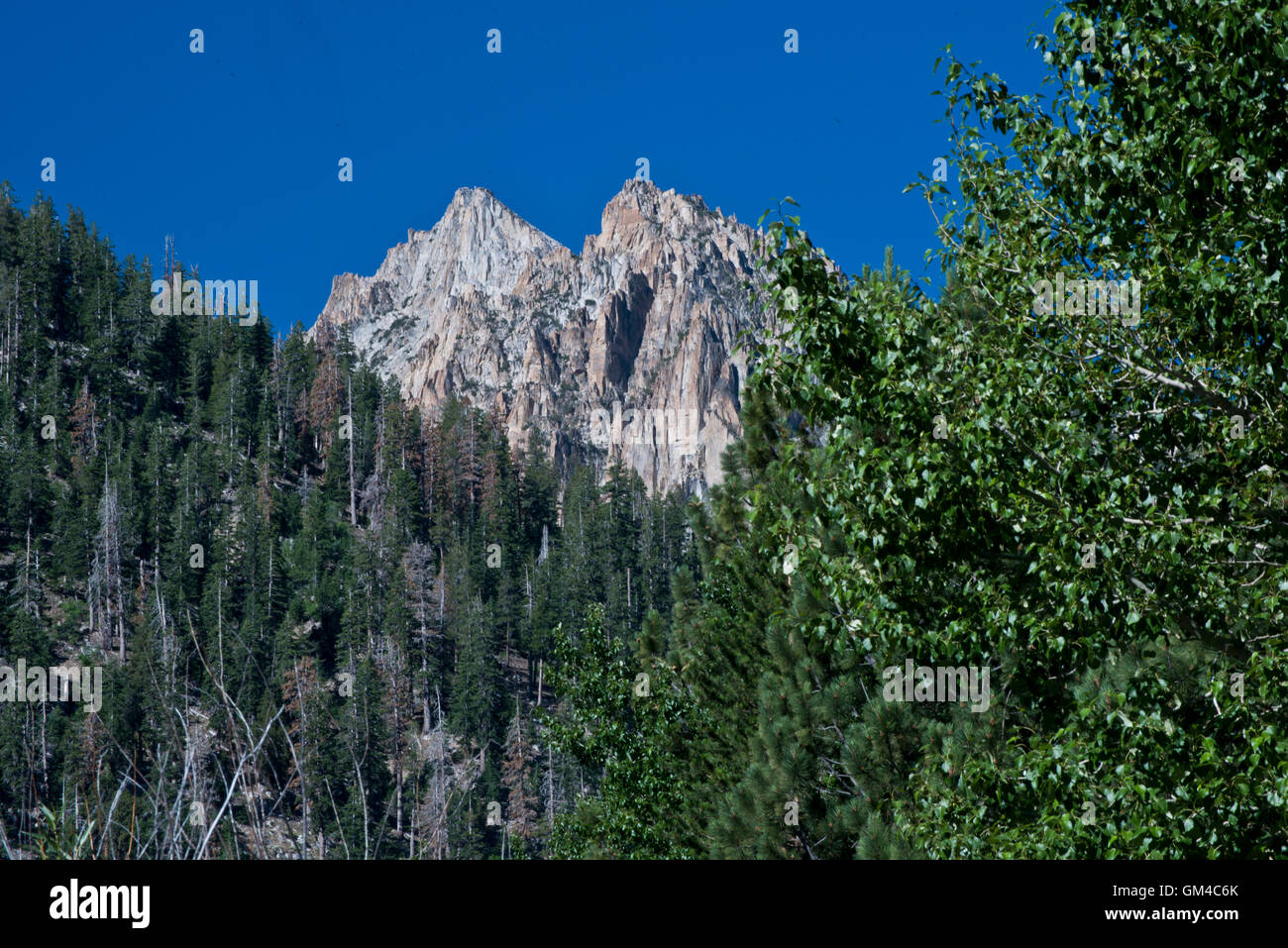 Mountain peak on the Benson Lake Loop trail Stock Photo Alamy