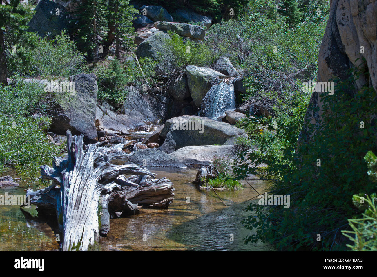 Mountain stream in the Hoover & Yosemite Wilderness, Humbolt-Toiyabe National Forest, CA Stock Photo