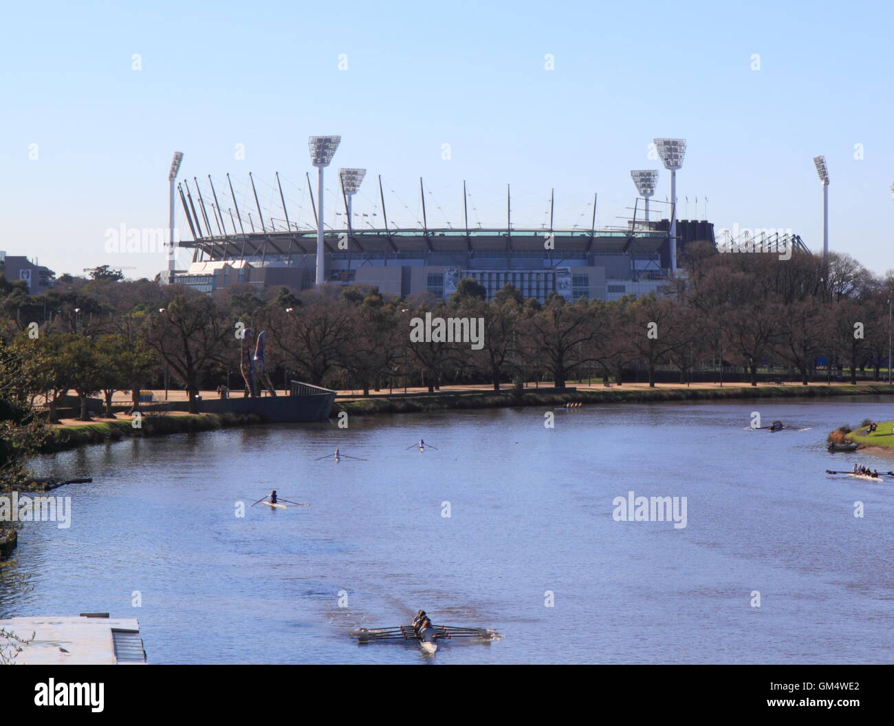 Athletes train rowing in Yarra river in Melbourne Australia. Stock Photo