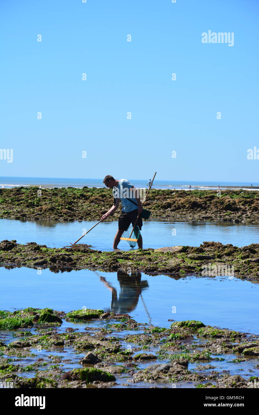Man fishing for crabs at low tide in the rock pool of la tranche sur mer, france Stock Photo