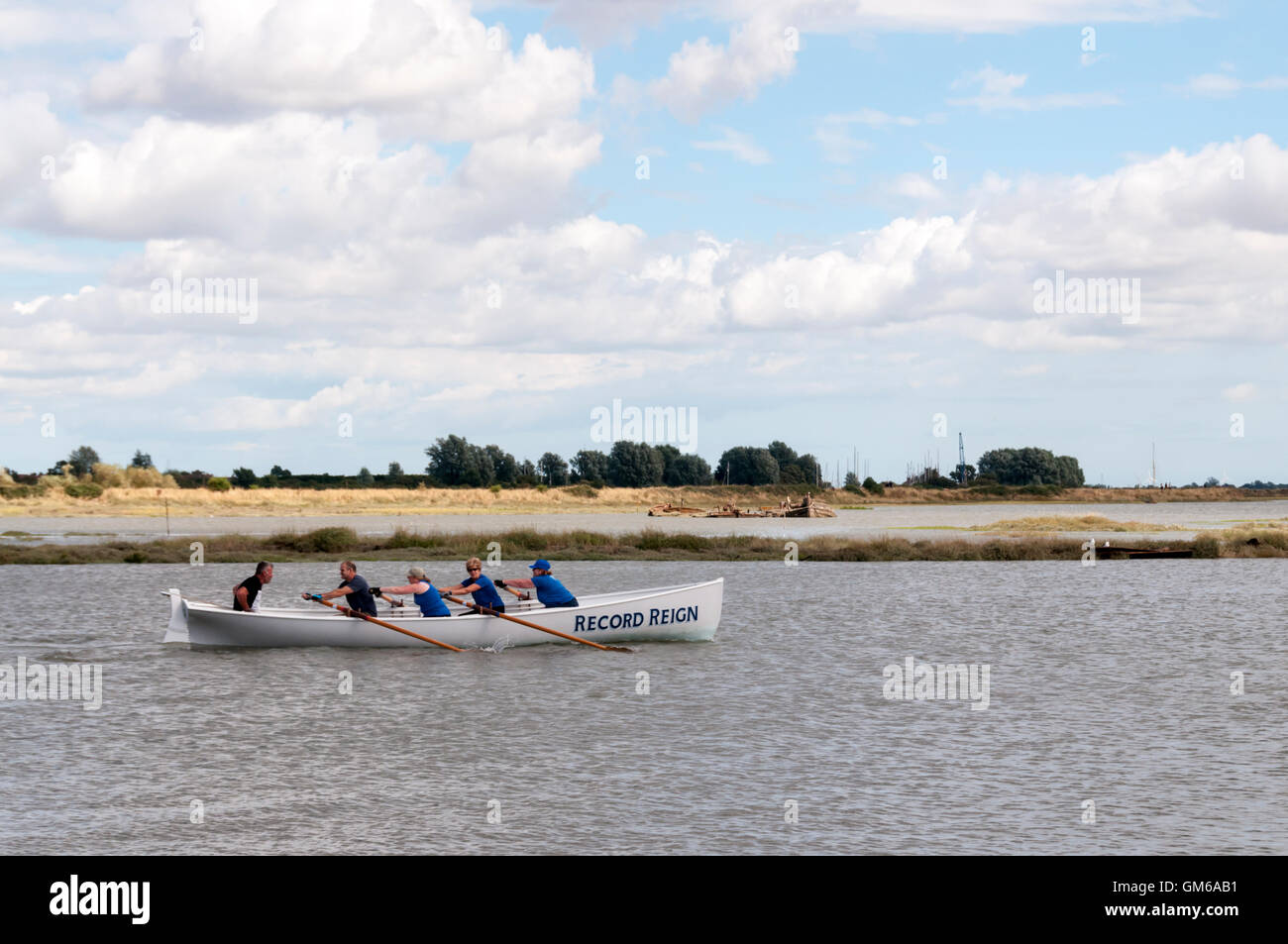 Crew of the racing gig Record Reign training on the Blackwater Estuary at Maldon, Essex. Stock Photo