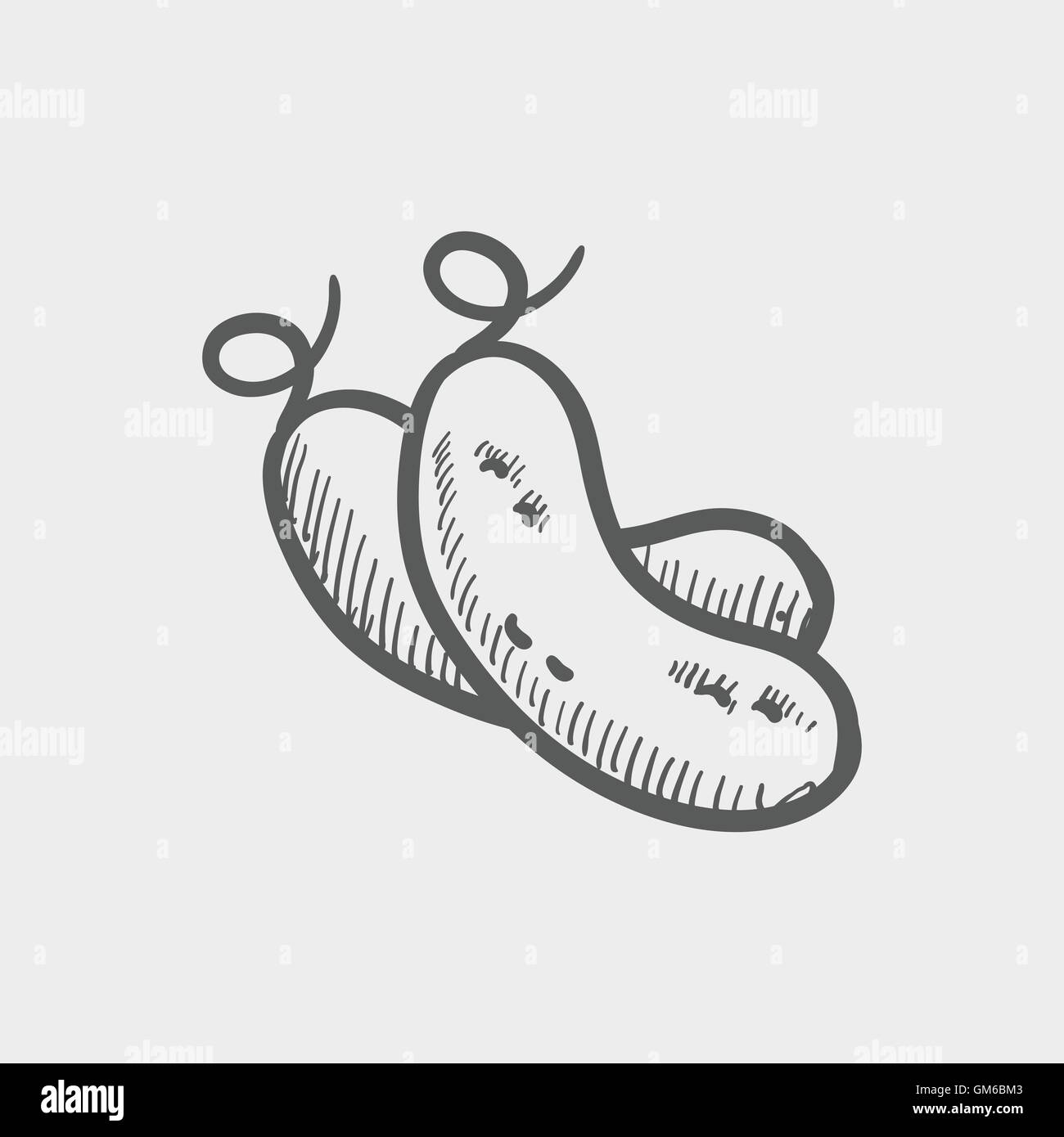 Peas sketch icon Stock Vector Image & Art - Alamy