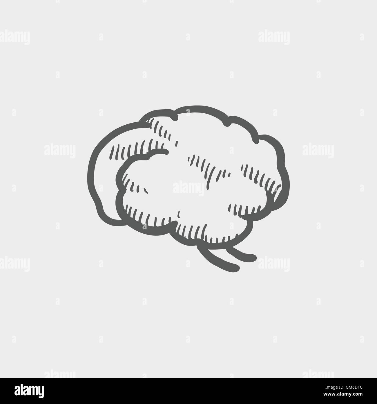 Human brain sketch icon Stock Vector