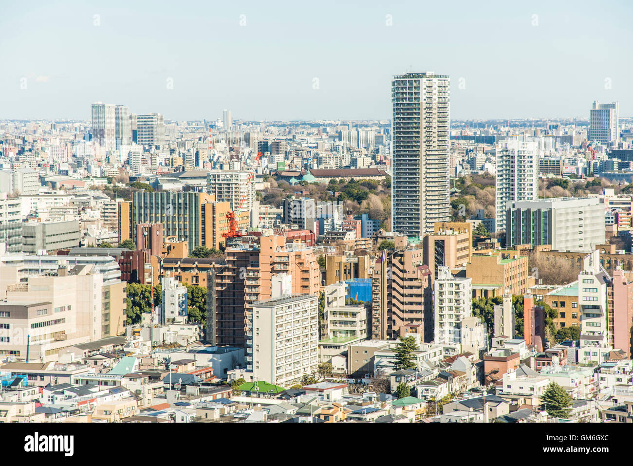 Aerial view of Tokyo National Museum,TaitoKu,Tokyo,Japan View from BunkyoKu Stock Photo Alamy