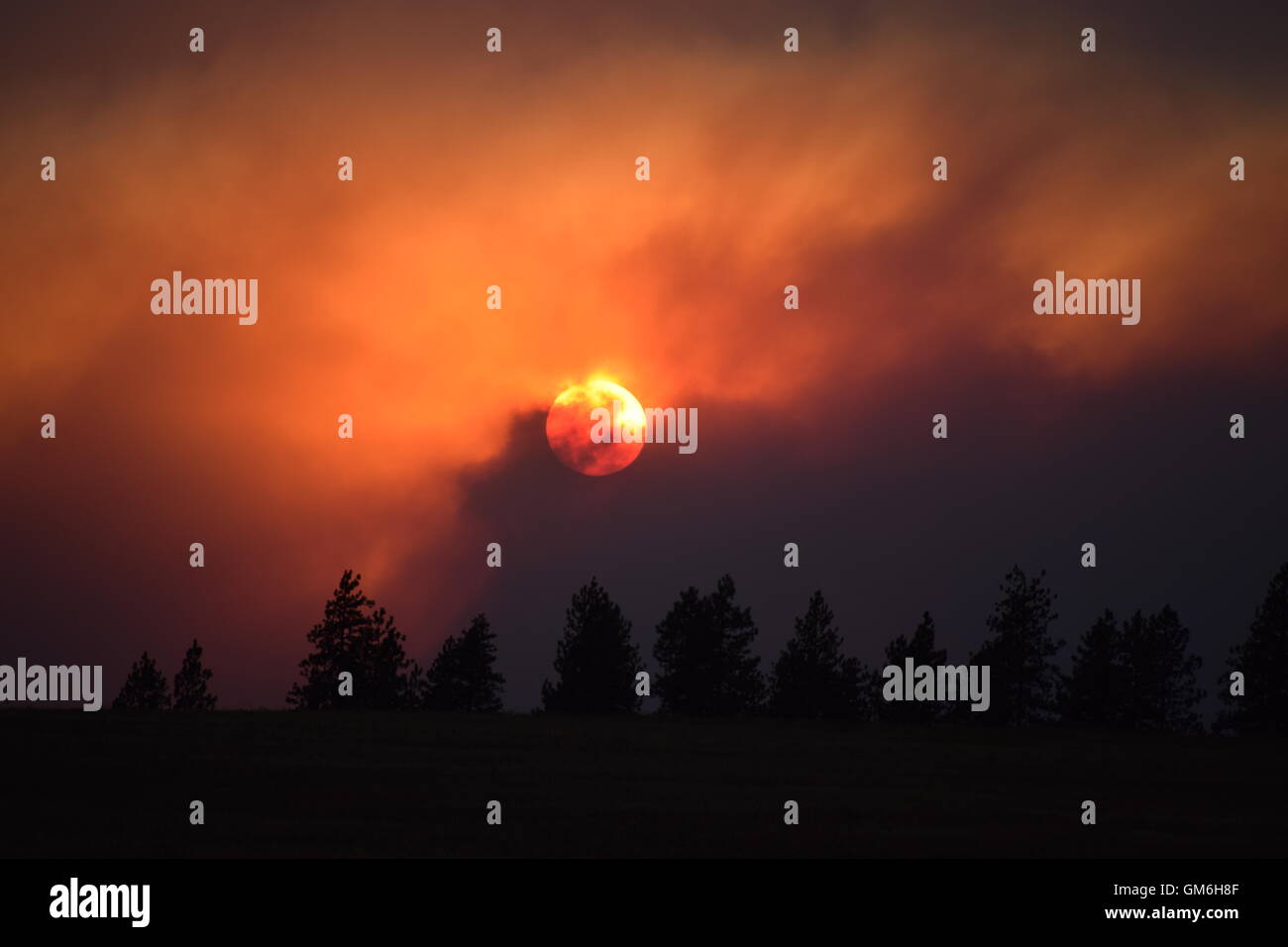Sunset through smoke. Stock Photo
