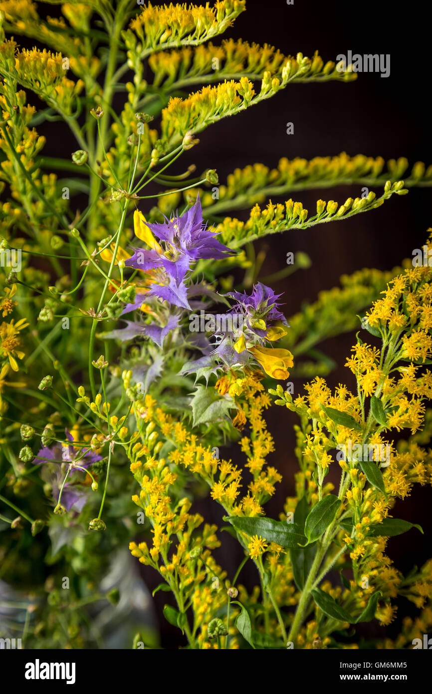 Wild flowers in a bouquet on a wooden table Stock Photo