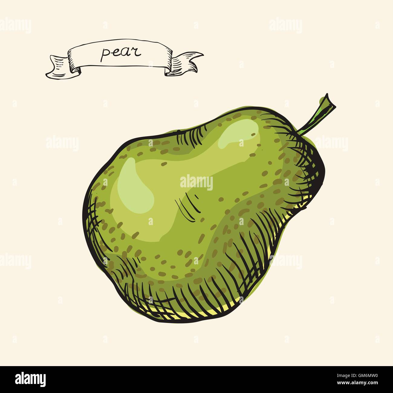 hand drawn vintage illustration of pear Stock Vector Image & Art - Alamy