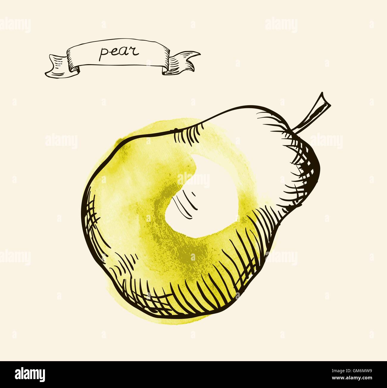 hand drawn vintage illustration of pear Stock Vector Image & Art - Alamy