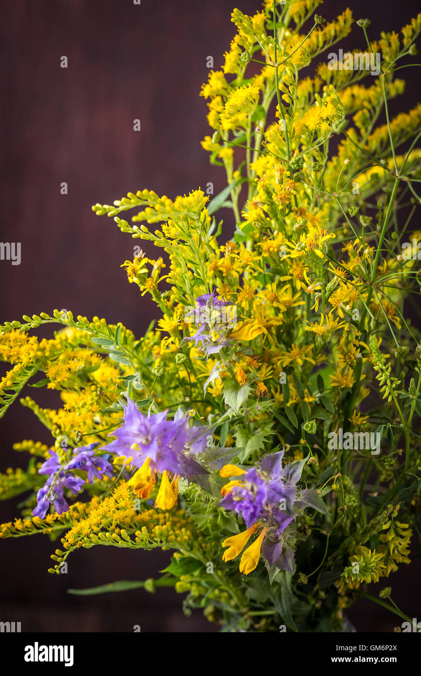 Yellow and violet wild flowers in a bouquet Stock Photo
