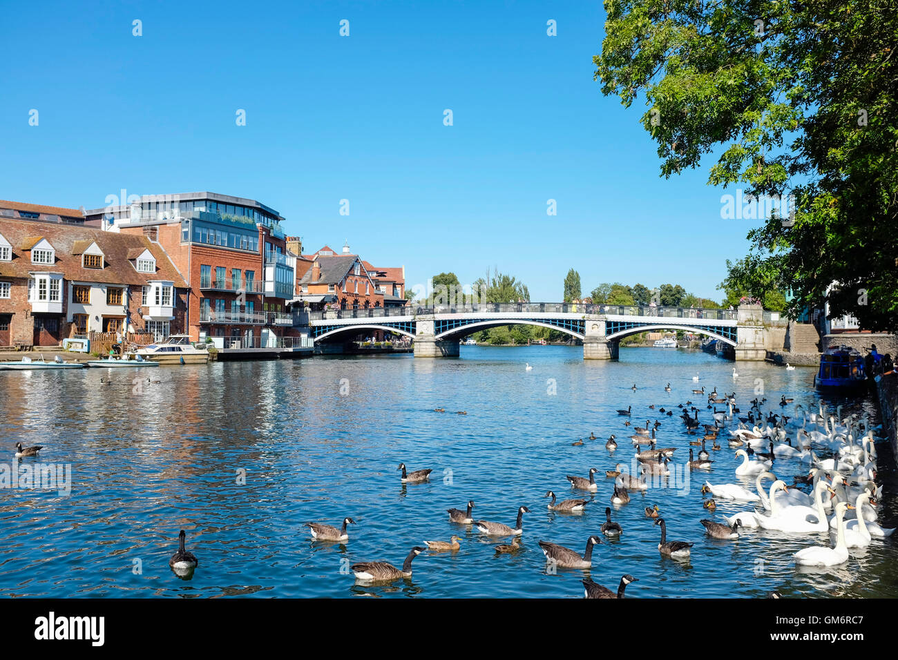 Windsor and Eton Bridge Stock Photo Alamy