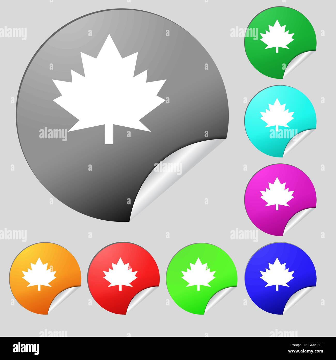 Maple leaf icon. Set of eight multi colored round buttons, stickers ...