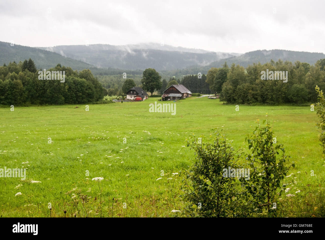 fresh meadow with trees, isolated houses and hills on the background near Borova Lada village in Sumava mountains Stock Photo