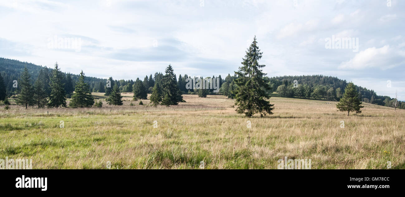 PP Uval Zvonkova near Lipno water reservoir in Sumava mountains with mountain meadow, isolated tree and hill on the background Stock Photo