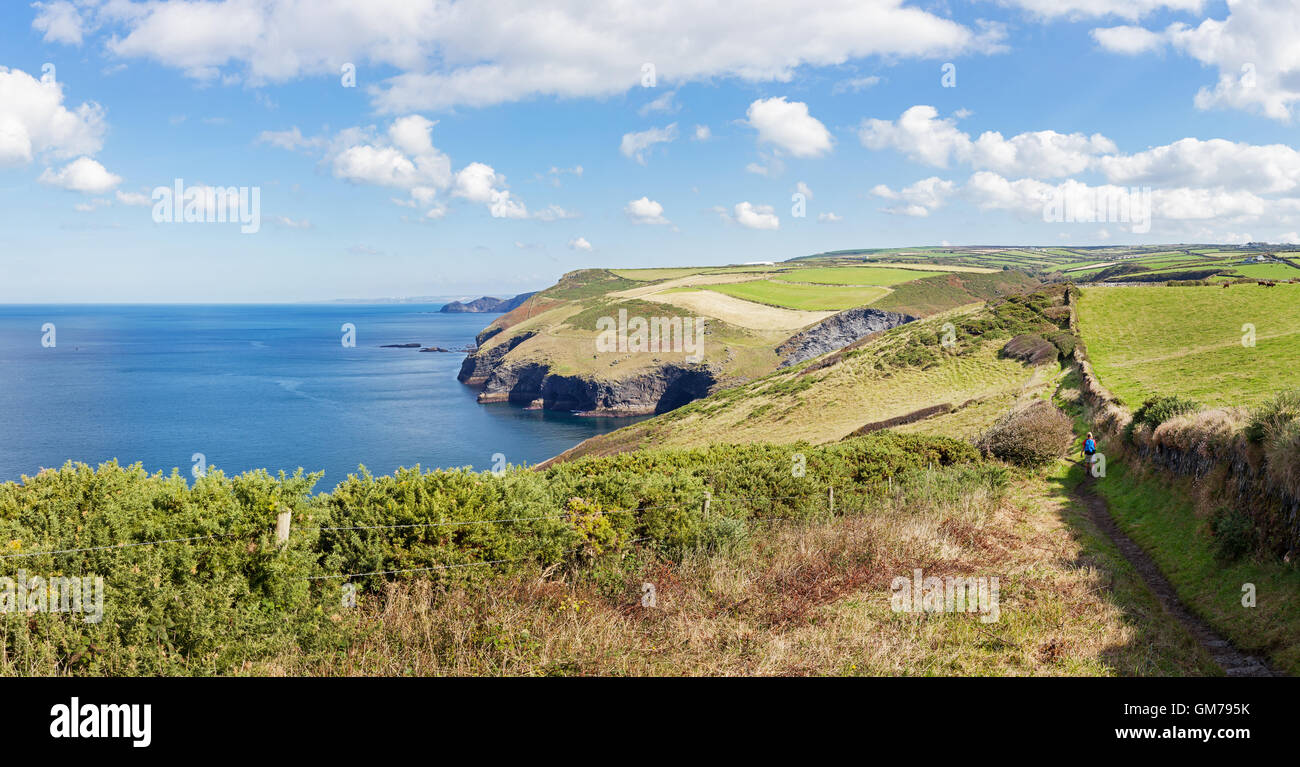 A woman walking the stunning North Cornwall coastline between Boscastle and Crackington Haven in England. Stock Photo