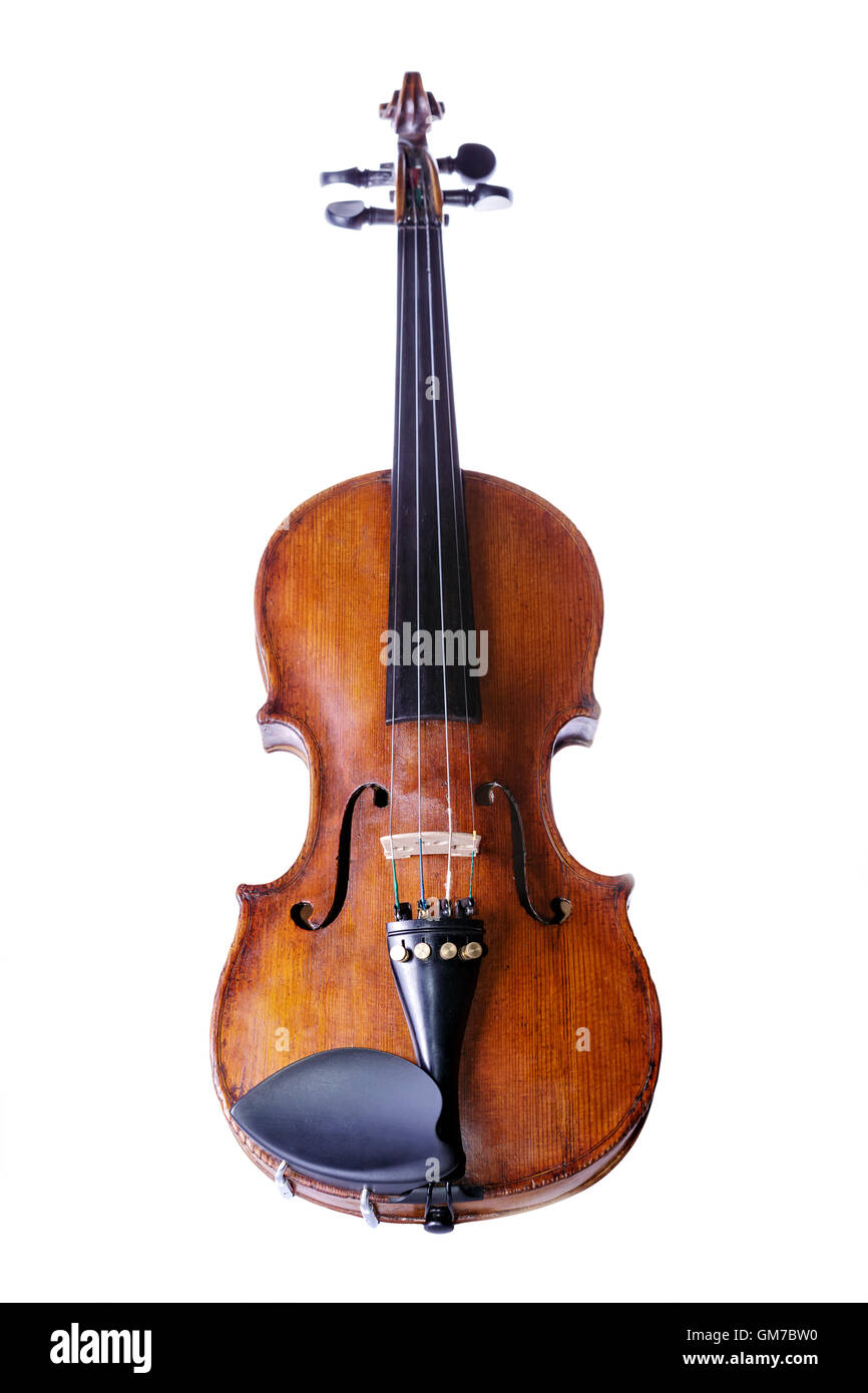 Violin on white Stock Photo