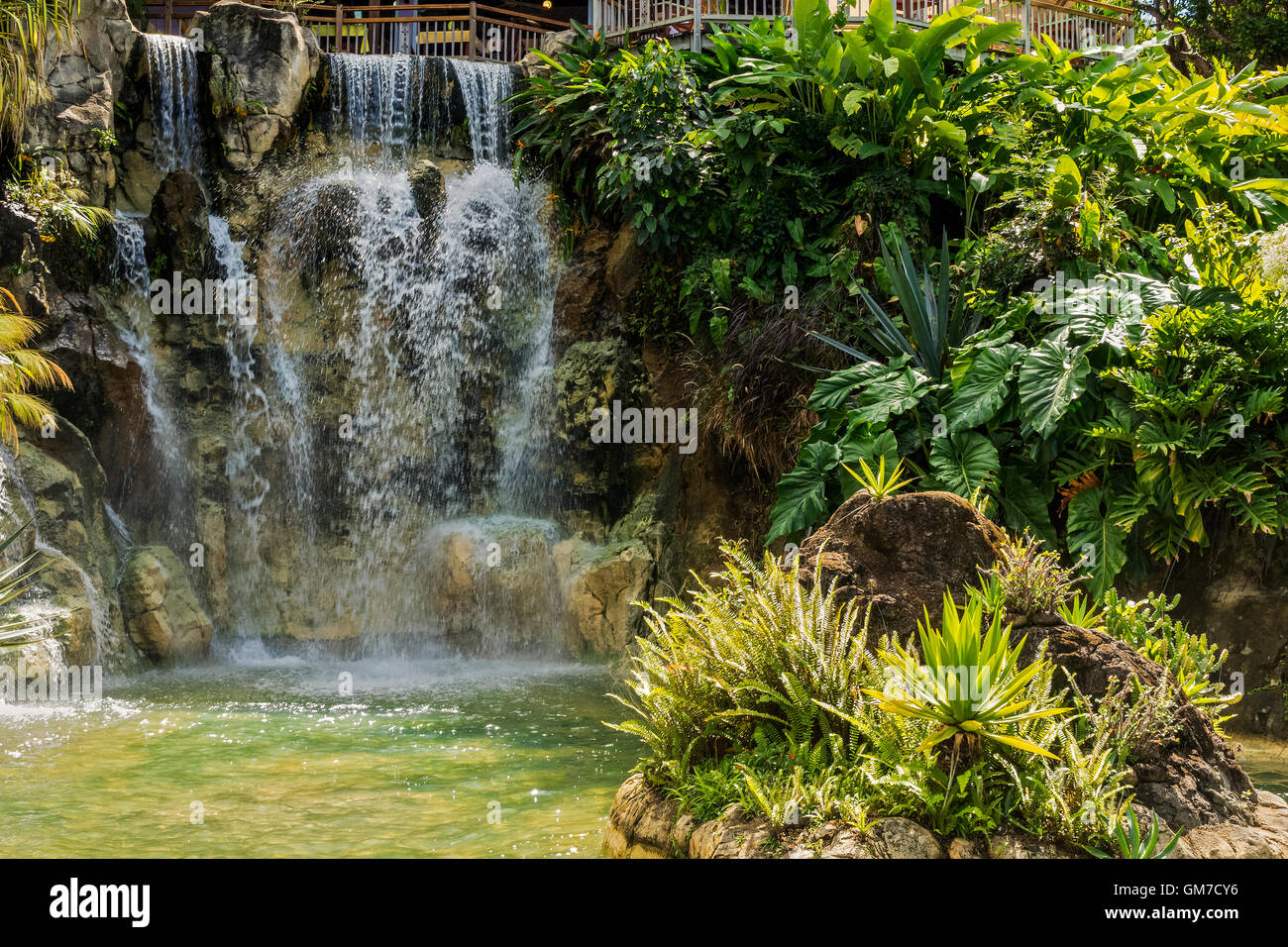 Waterfall At Balata Botanical Gardens Guadeloupe West Indies Stock Photo