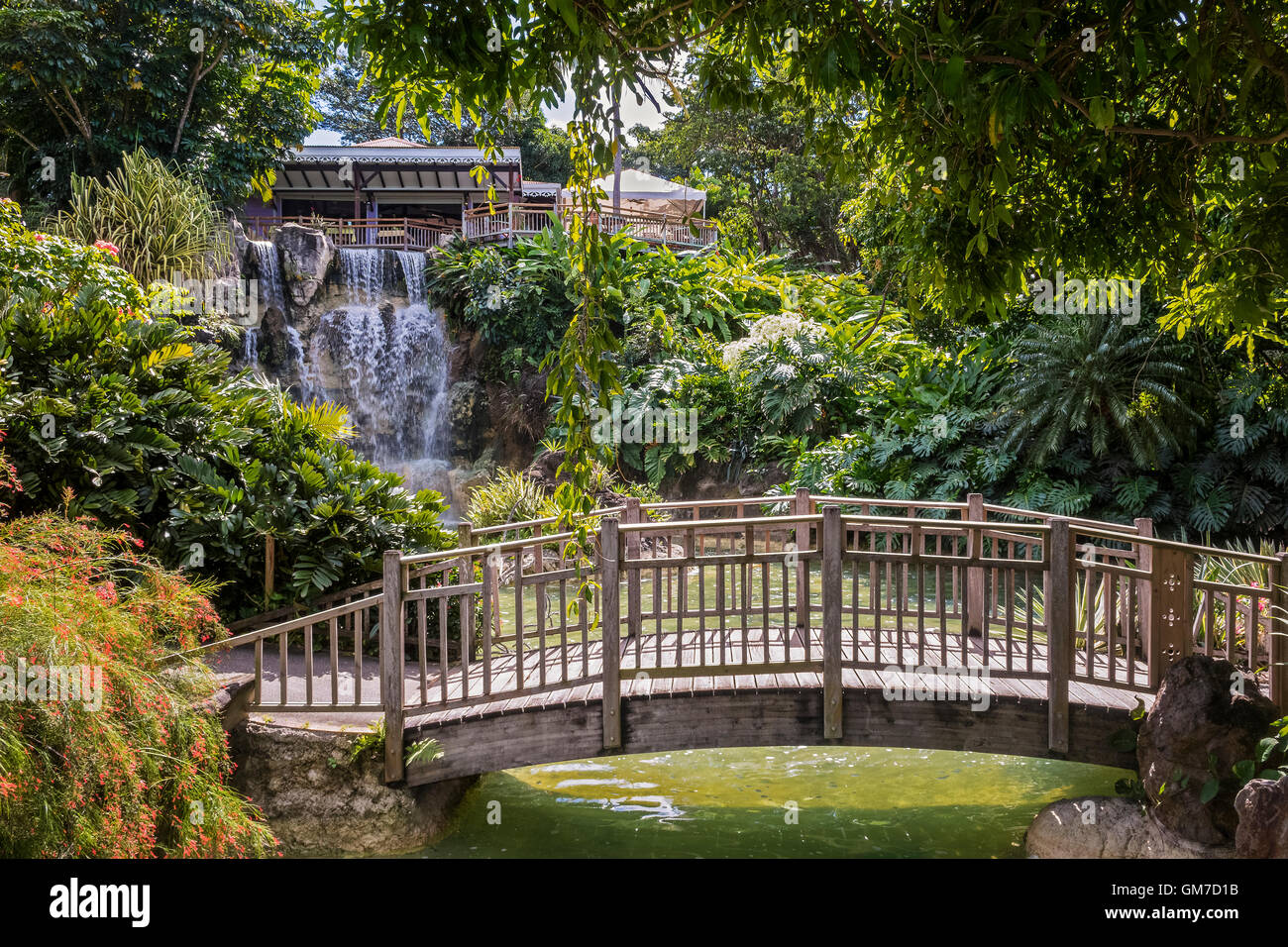 Bridge Across Watercourse Balata Botanical Gardens Guadeloupe West Indies Stock Photo