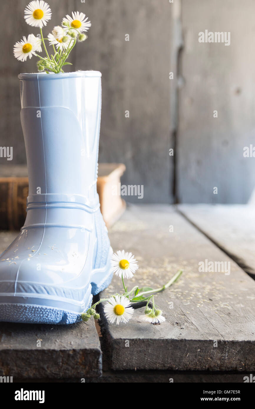 flower background, daisy and boots on a old vintage table Stock Photo