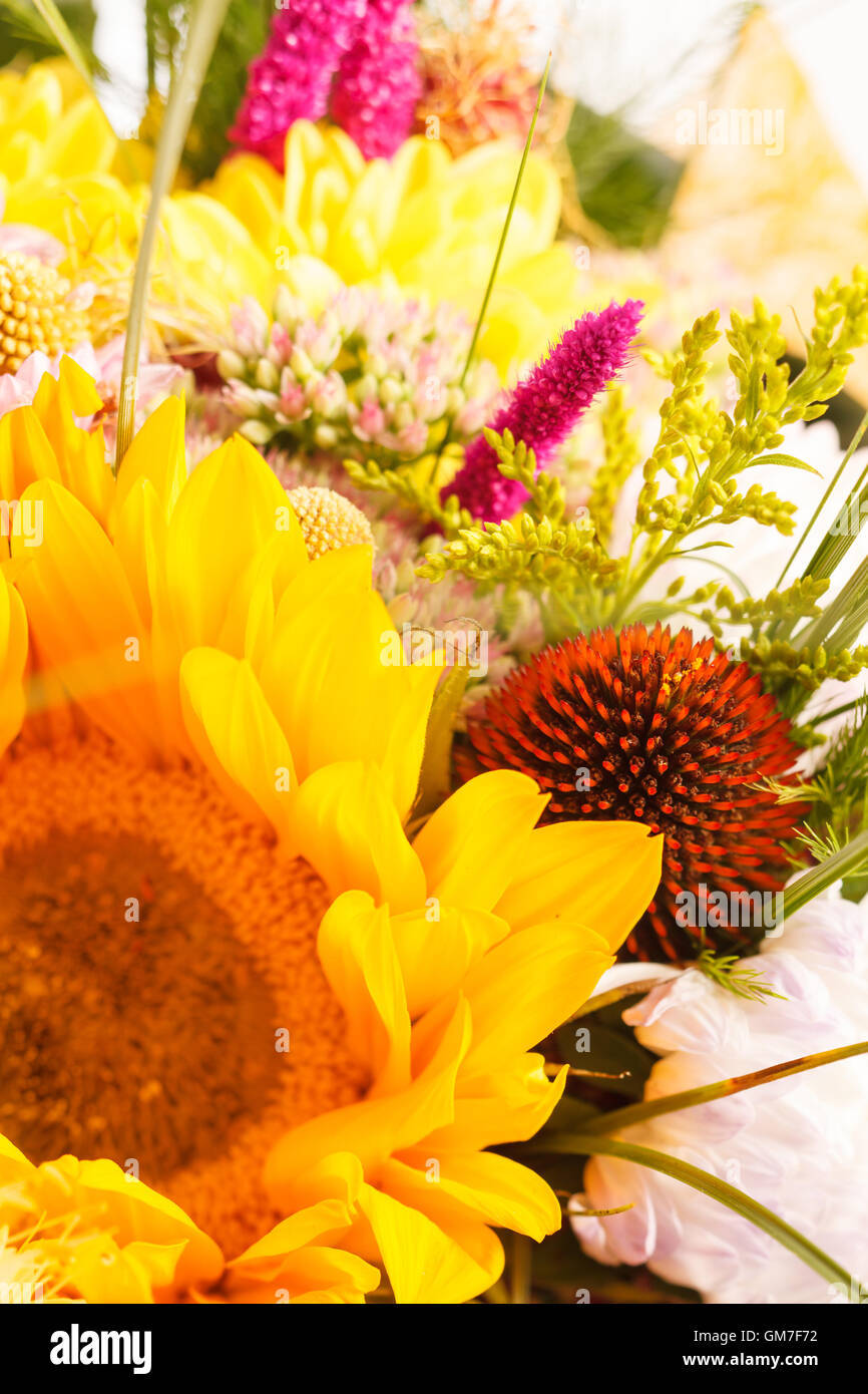 bouquet of colorful flowers Stock Photo - Alamy