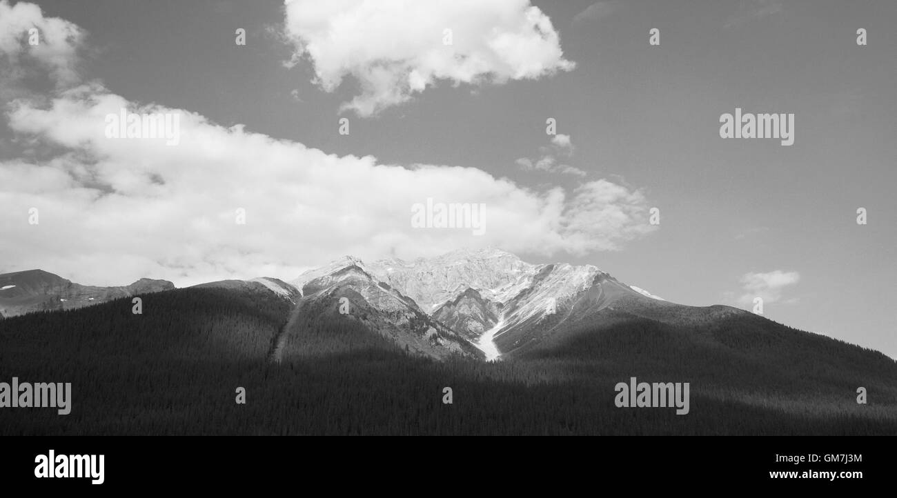 Canadian landscape with mountain and forest. Alberta. Horizontal Stock